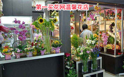 桂竹香的花語(yǔ)和寓意