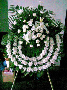 ˼׷(hu)Ȧ